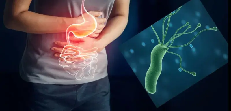 هلیکوباکتر پیلوری و اهمیت آن