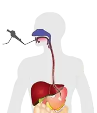 بهترین فوق تخصص گوارش در کرج