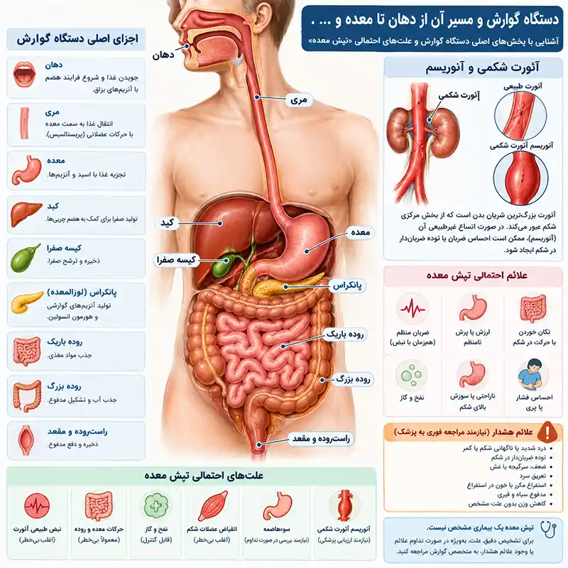 تپش معده چیست؟